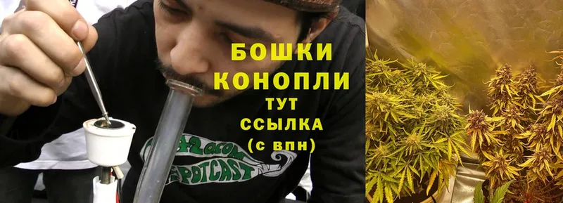 где купить наркоту  Малаховка  Бошки Шишки LSD WEED 